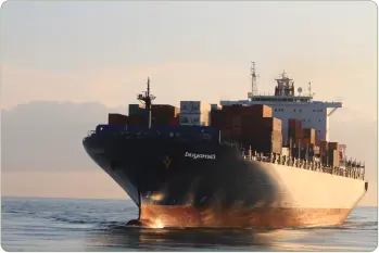 Buyamia's Affordable Shipping
